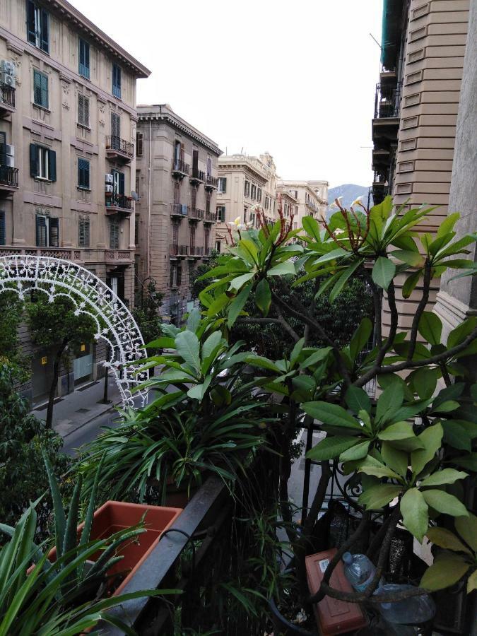 Medusa Palermo Bagian luar foto
