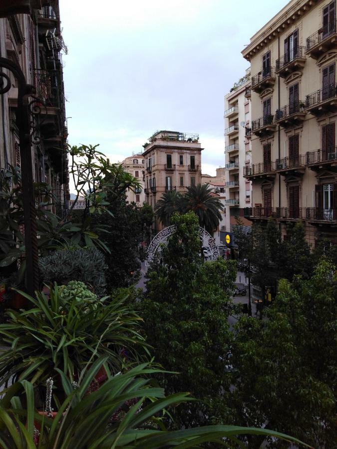 Medusa Palermo Bagian luar foto